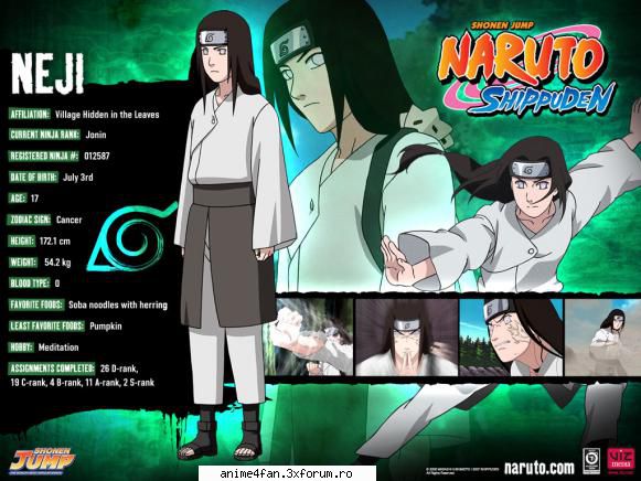 Neji - e cam enervant,eu las plesni - Naruto